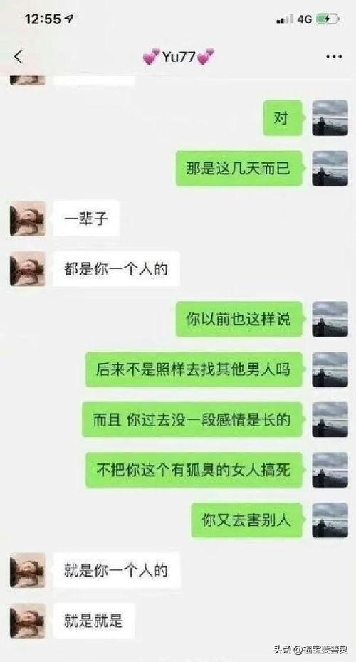 吃瓜免费聊天记录下载,一场网络社交的狂欢与反思  第2张