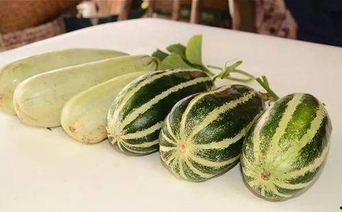 吃网红瓜,那些你不知道的“吃瓜”故事 第3张 吃网红瓜,那些你不知道的“吃瓜”故事 第3张