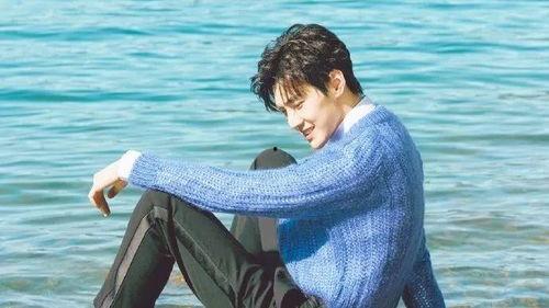 林雨申杨宝宝最新爆料,揭秘娱乐圈幕后真相 第1张 林雨申杨宝宝最新爆料,揭秘娱乐圈幕后真相 第1张