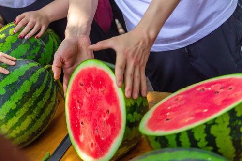 吃瓜免费观看,揭秘热门事件背后的真相  第2张