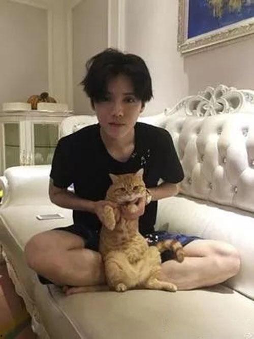 杨八星被爆料结婚视频,甜蜜瞬间见证爱情升华 第1张 杨八星被爆料结婚视频,甜蜜瞬间见证爱情升华 第1张